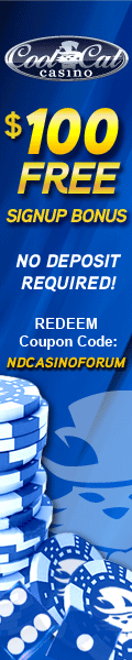 No Deposit RTG Casino Bonus